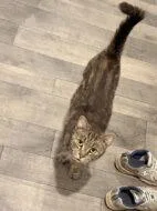 Cleo thumbnail 2