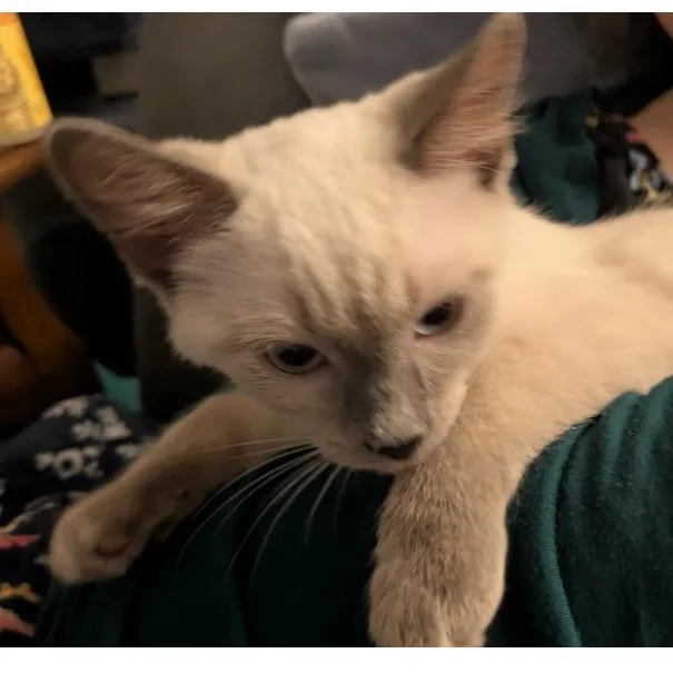 Esther thumbnail 3