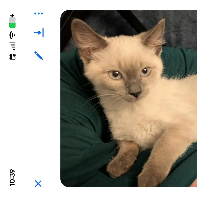 Esther thumbnail 4