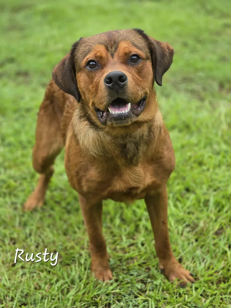 Rusty