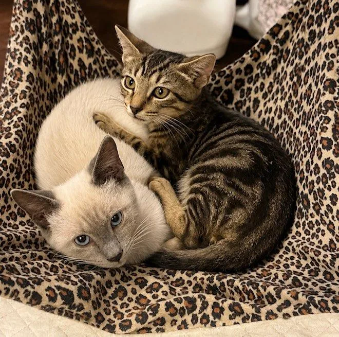Sprout & Splash BONDED thumbnail 2