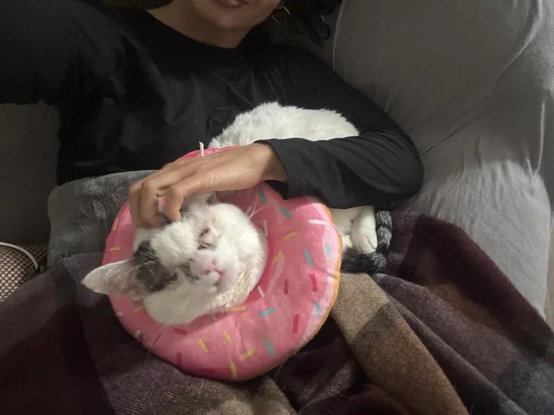 Bun Aka Trigger thumbnail 4
