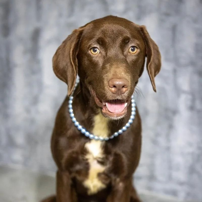 Coco Chanel