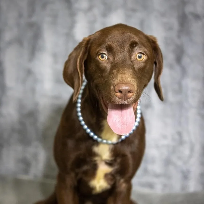 Coco Chanel thumbnail 2