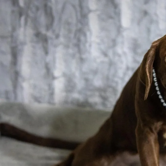Coco Chanel thumbnail 5