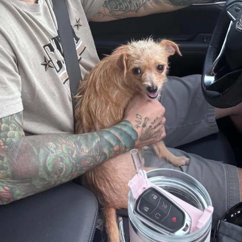 Jilly 'mama Honey' thumbnail 2