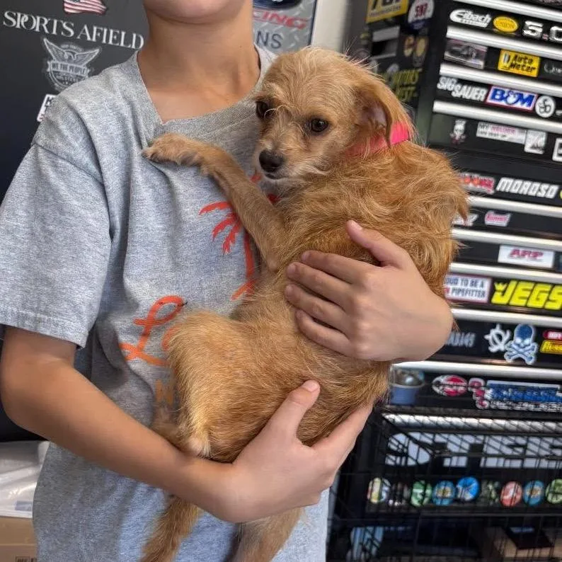 Jilly 'mama Honey' thumbnail 4