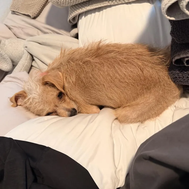 Jilly 'mama Honey' thumbnail 5