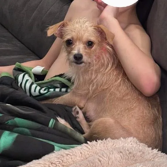 Jilly 'mama Honey' thumbnail 6