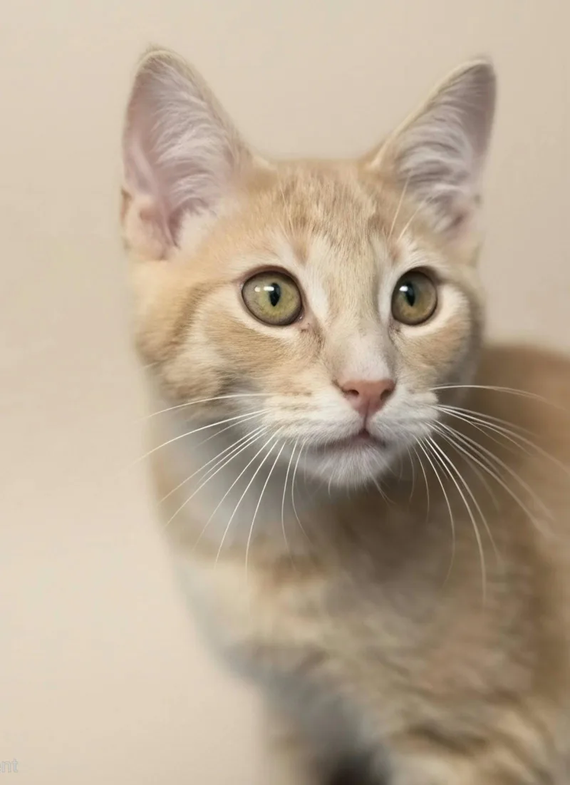 Murray thumbnail 2