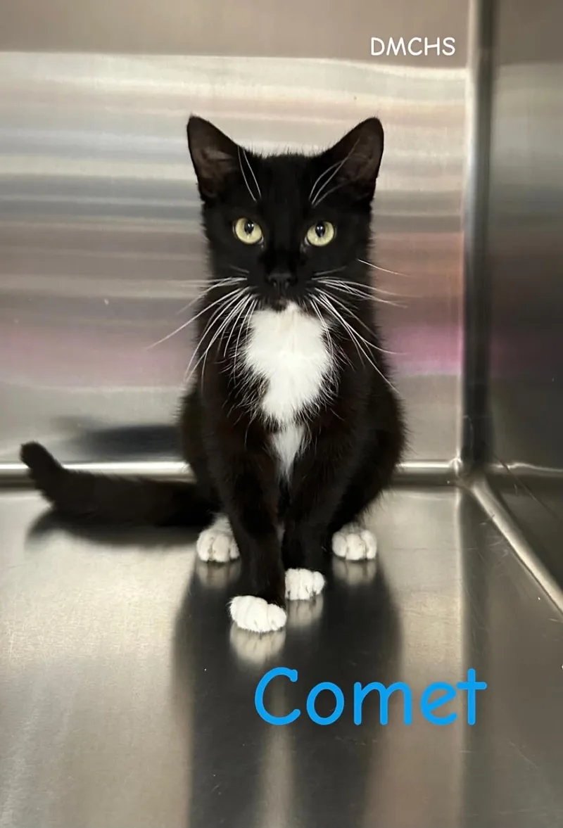 Comet thumbnail 2