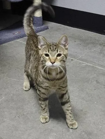 Salt And Pepper thumbnail 2