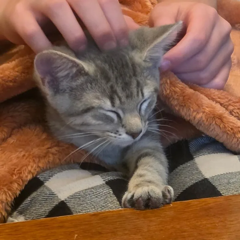 Kate thumbnail 4