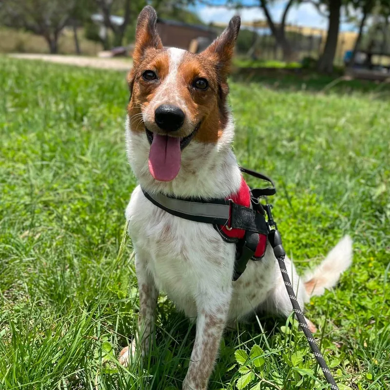 Tracker thumbnail 4