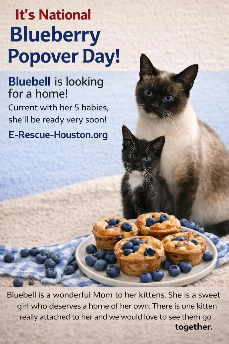 Bluebell thumbnail 4