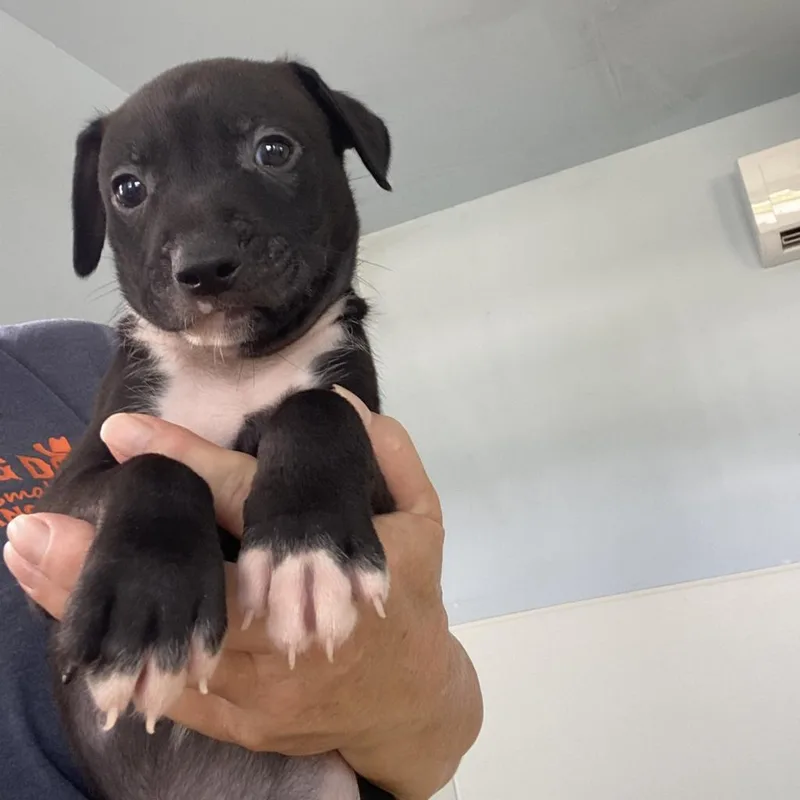 Jace Aka Lotto thumbnail 2