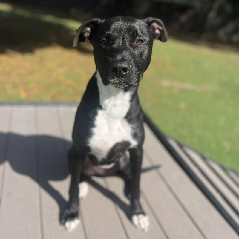 Jace Aka Lotto thumbnail 3