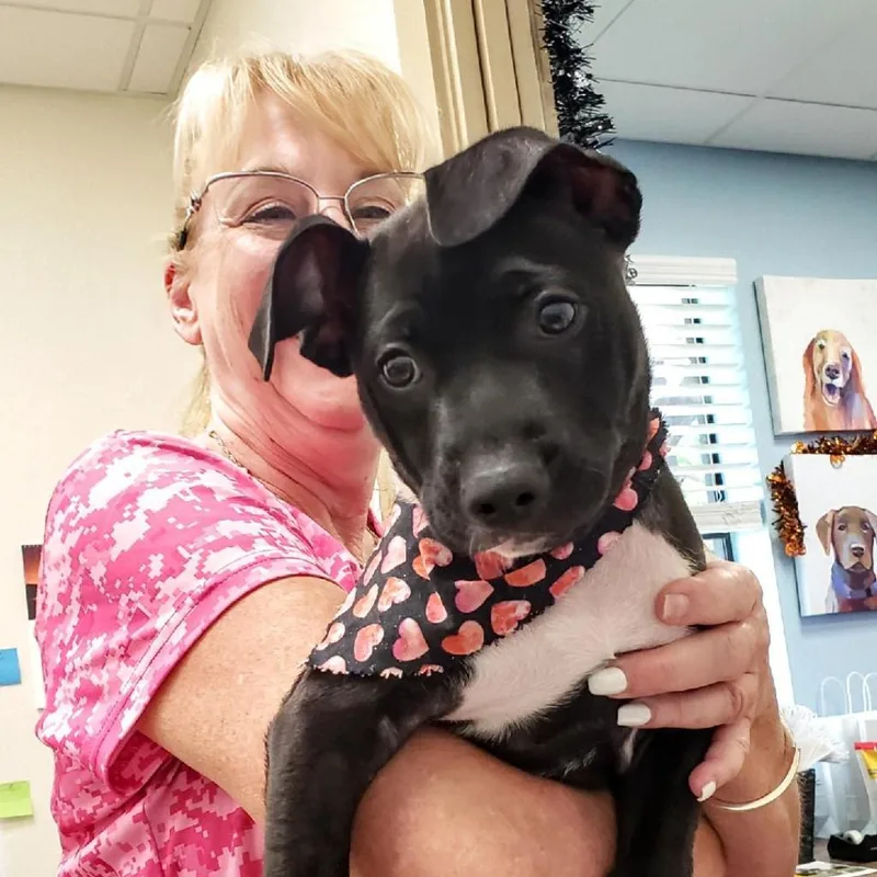 Jace Aka Lotto thumbnail 4