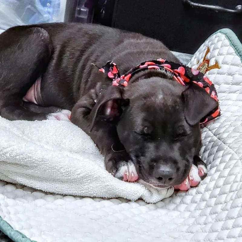 Jace Aka Lotto thumbnail 5