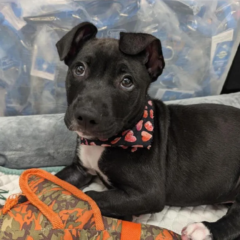 Jace Aka Lotto thumbnail 6