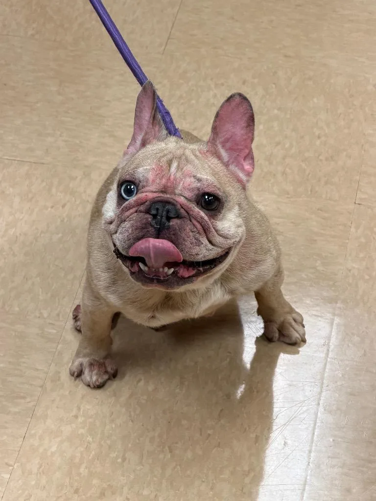 JenAaay thumbnail 3