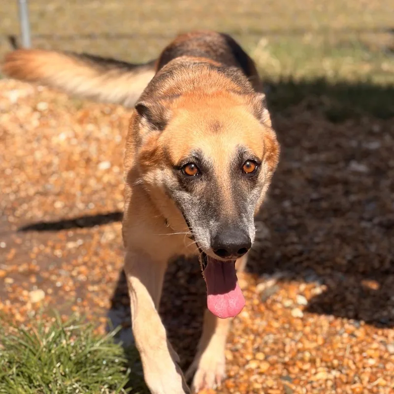 Sasha thumbnail 2