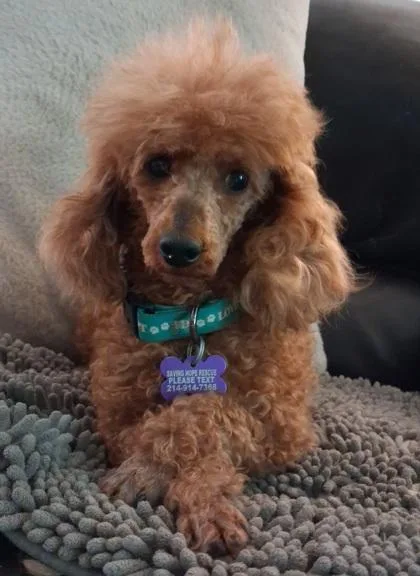 Audrey