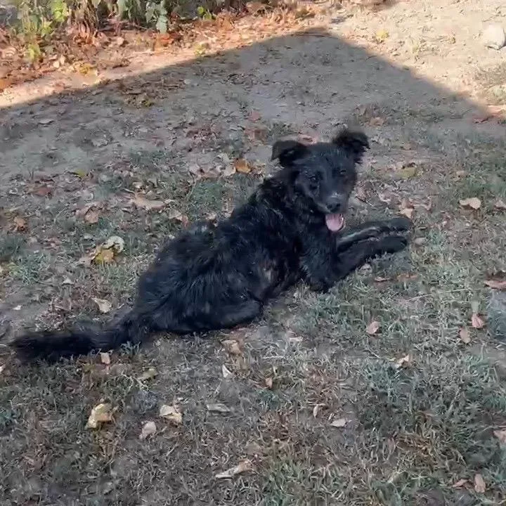 Luna