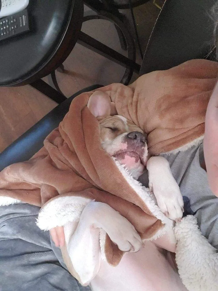 Maggie thumbnail 3