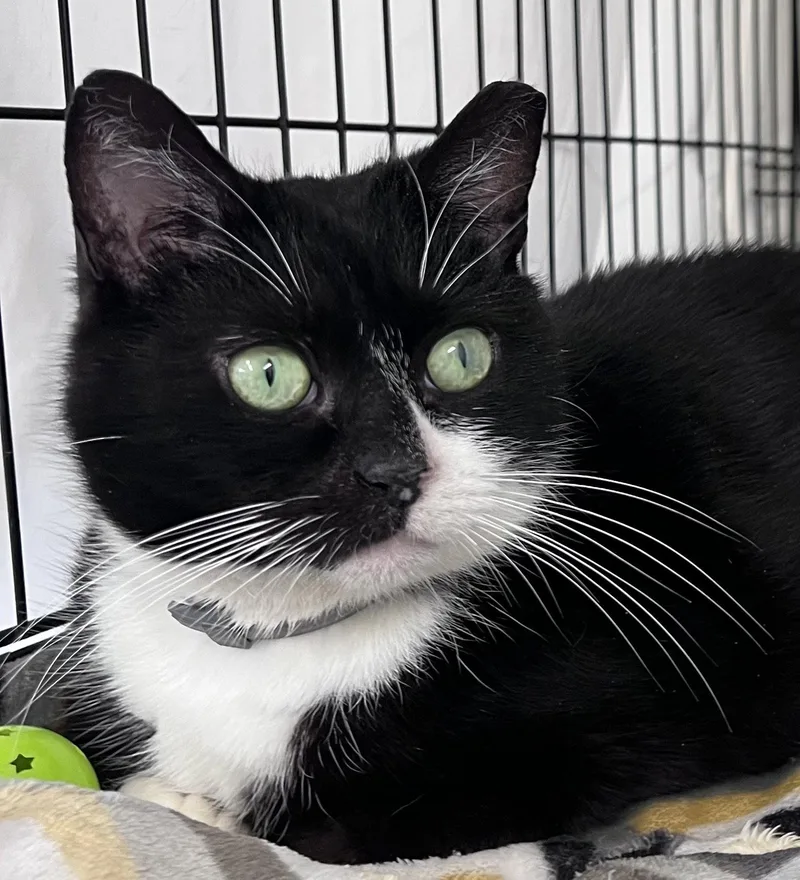 Bonitawillow Grove thumbnail 2