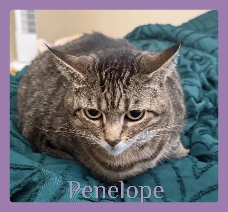 Penelope