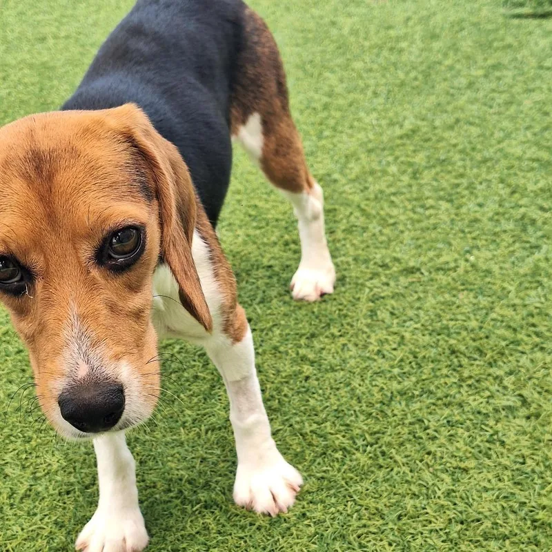 Zoey