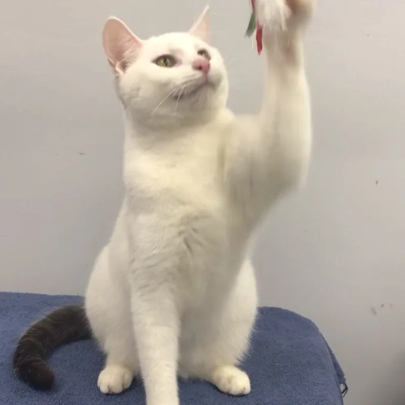 Andy thumbnail 3