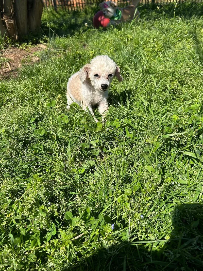 Chloe And Paisley thumbnail 2