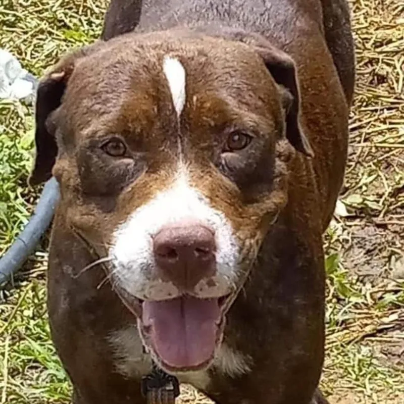 Sailor "yours Forever."