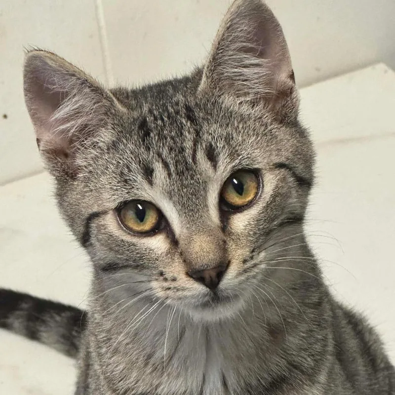 Mary Ann thumbnail 2