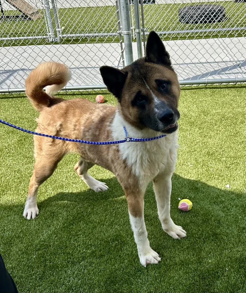 Biggest Dork Ever!!!! thumbnail 2