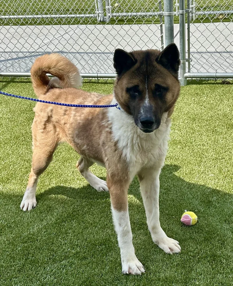 Biggest Dork Ever!!!! thumbnail 3