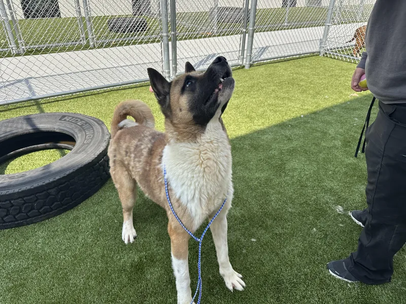 Biggest Dork Ever!!!! thumbnail 4