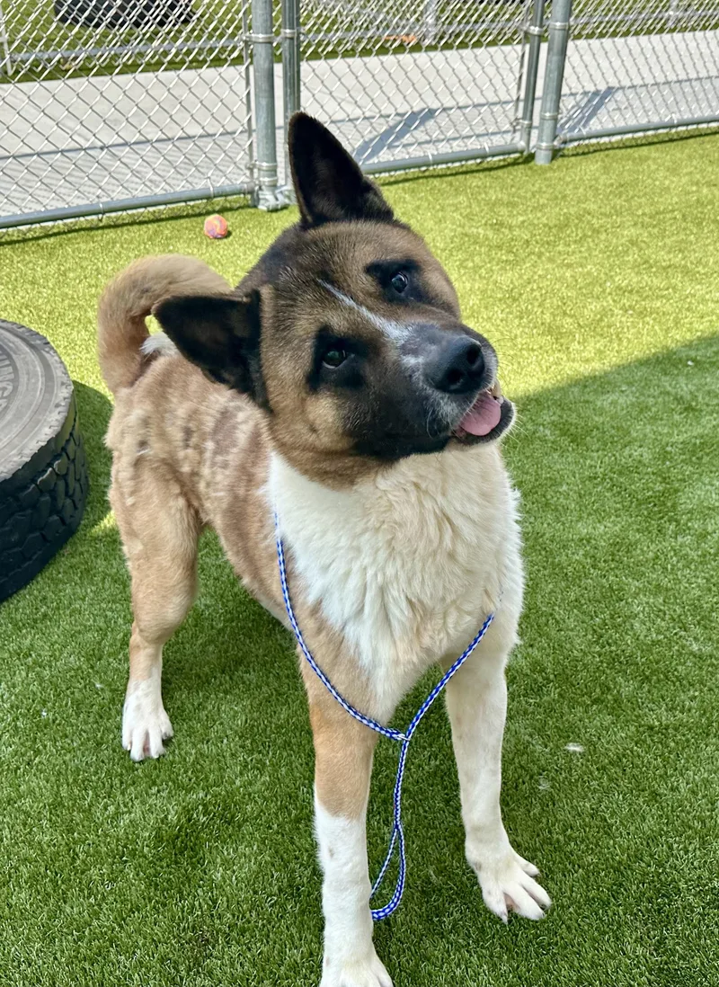 Biggest Dork Ever!!!!