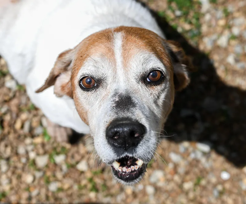 Sam Elliott thumbnail 2