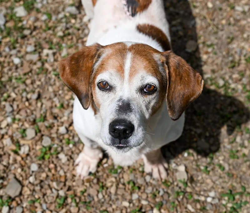 Sam Elliott thumbnail 3