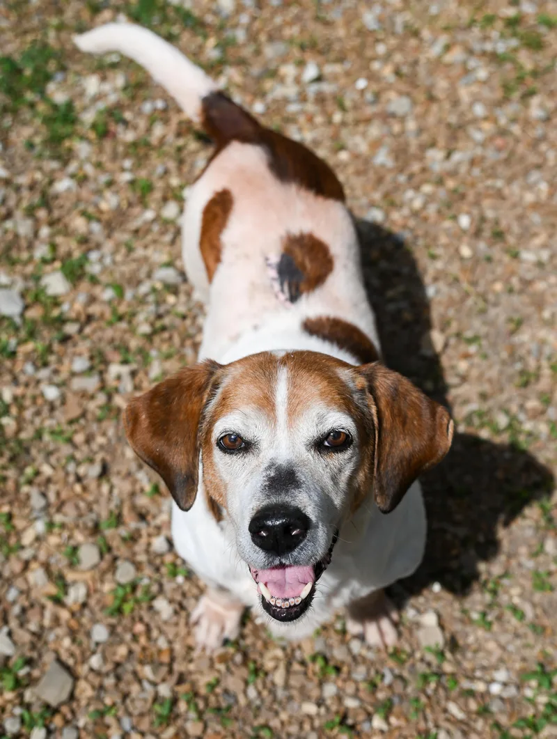 Sam Elliott thumbnail 4