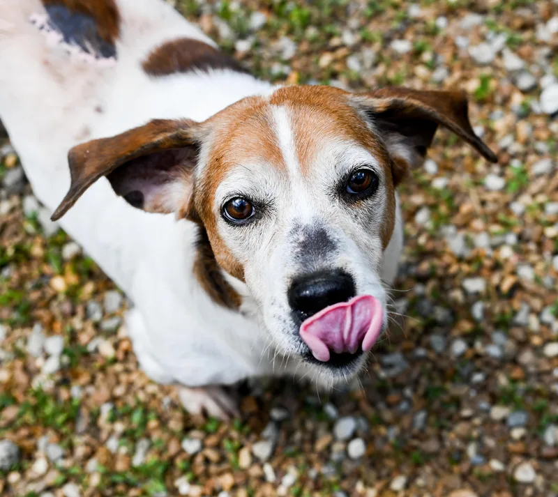 Sam Elliott thumbnail 5