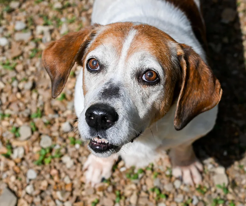 Sam Elliott thumbnail 6