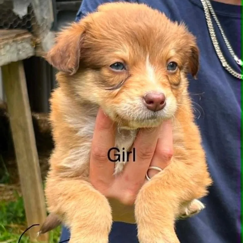 Chloe