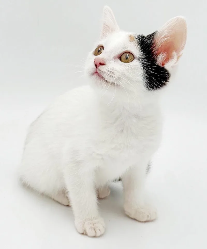 Ophelia is omg gorgeous thumbnail 5
