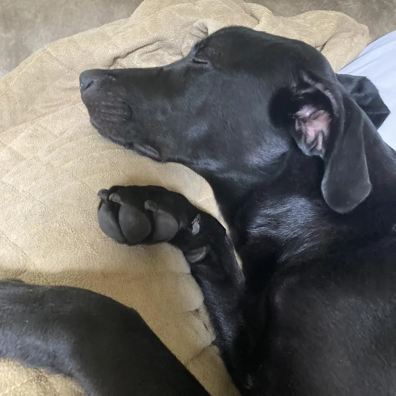 Oakley Stuck in Boarding thumbnail 5