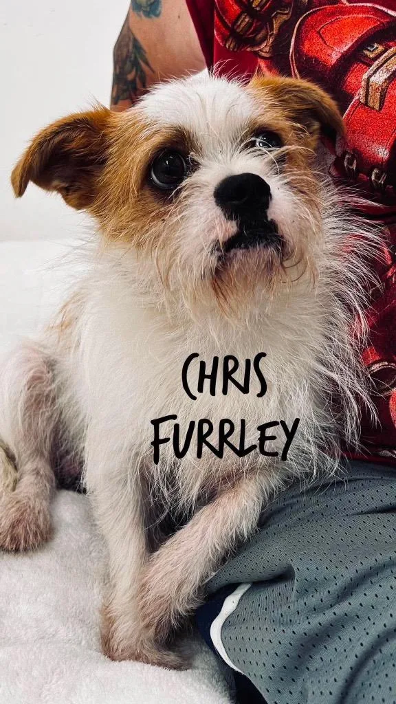 Chris Furrley