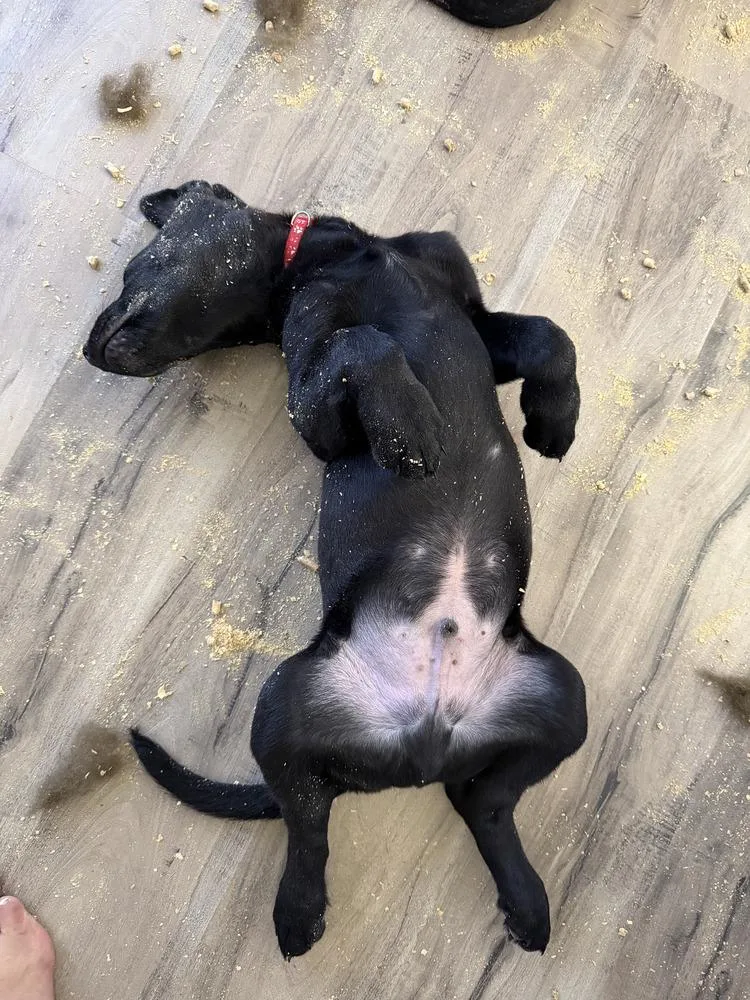 Peter Quill Volume  thumbnail 4